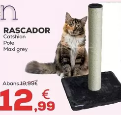 Catshion - Rascador