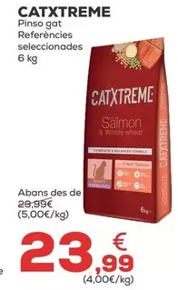 Catxtreme - Pienso Gato