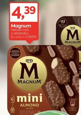 Magnum - Helado Mini O Almendra