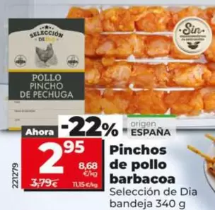 Seleccion De Dia - Pinchos De Pollo Barbacoa