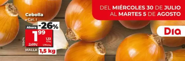 Cebolla