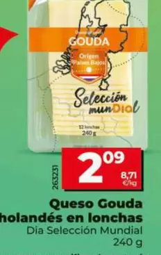 Dia Seleccion Mundial - Queso Gouda Holandés En Lonchas 