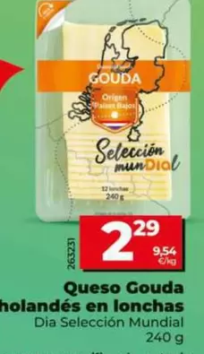 Dia Seleccion Mundial - Queso Gouda Holandés En Lonchas 