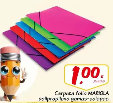 Carpeta Folio Polipropileno Gomas-Solapas