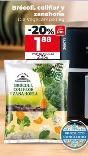 Dia Vegecampo - Brócoli, Coliflor Y Zanahoria 