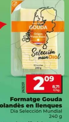 Dia Seleccion Mundial - Queso Gouda Holandés En Lonchas 240 G