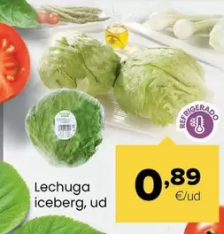 Lechuga Iceberg