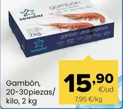 Seastar - Gambón, 20-30 Piezas