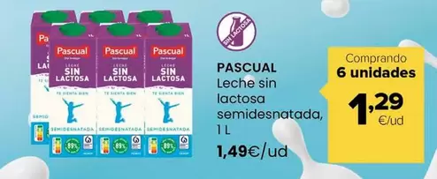 Pascual - Leche Sin Lactosa Semidesnatada
