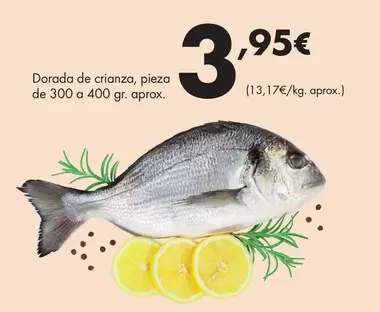 Dorada De Crianza