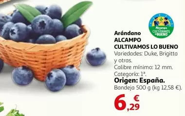 alcampo - Arándano