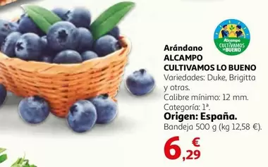 alcampo - Arándano