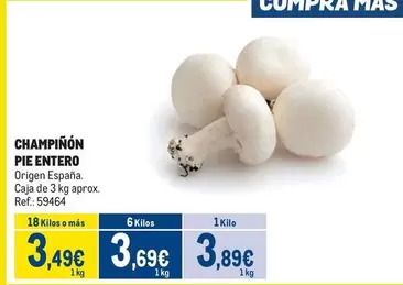 origen - Champinon Pie Entero
