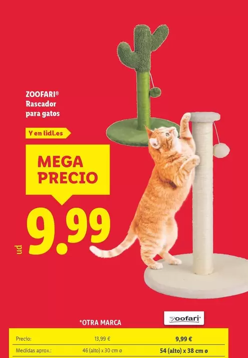 Zoofari - Rascador Para Gatos