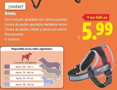 Zoofari - Arnés