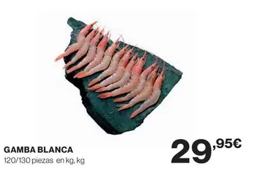 Gamba Blanca