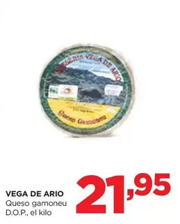 Vega De Ario - Queso Gamoneu D.O.P.