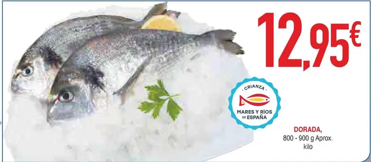 dorada - Dorada
