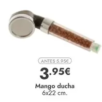 Mango Ducha