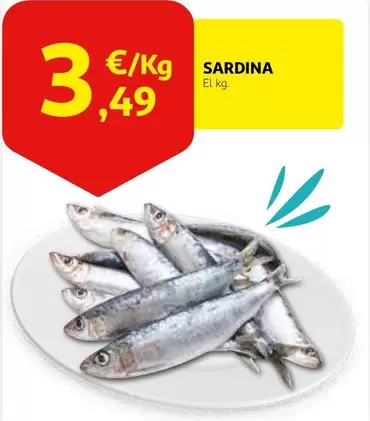 Sardina