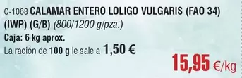 Calamar Entero Loligo