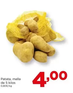 Patata
