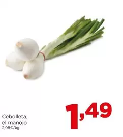Cebolleta