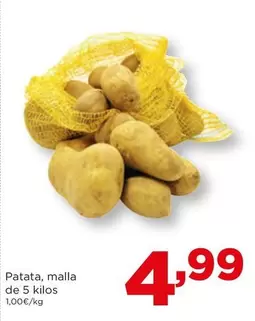 Patata, Malla De 5 Kilos