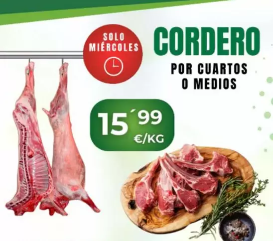 Cordero