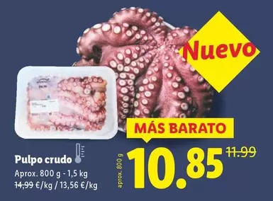 Pulpo Crudo