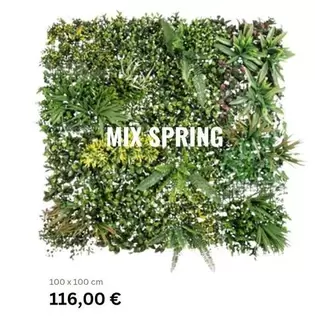 Mix Spring