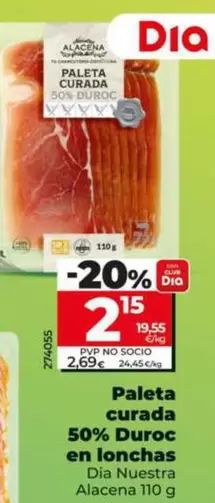 Dia Nuestra Alacena - Paleta Curada 50% Duroc En Lonchas 110 G