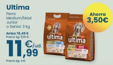 Última - Perro Medium/Maxi Junior O Senior