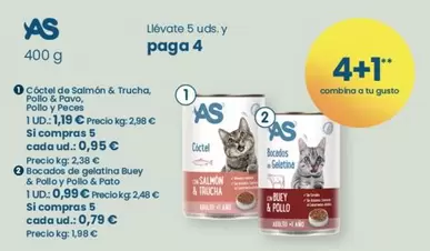 As - Coctel De Salmón & Trucha, Pollo E Verdura, O Pollo E Verduras, O Espucha