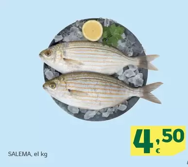 Salema