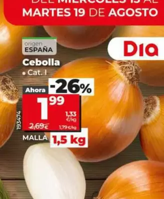 Cebolla 