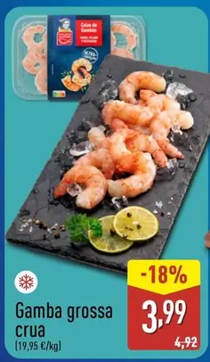 Gamba Grossa Crua