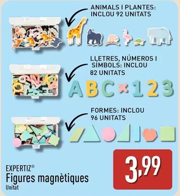 Expertiz - Figures Magnétiques