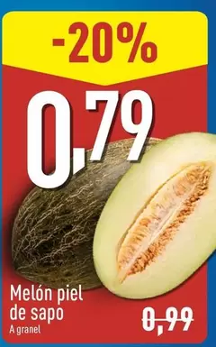 Melón Piel De Sapo