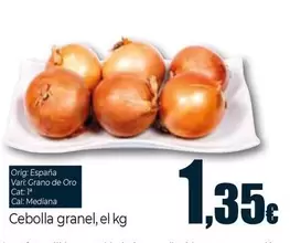 Cebolla Granel