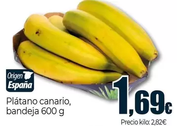 Platano Canario