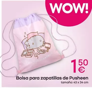 Bolsa Para Zapatillas De Pusheen 