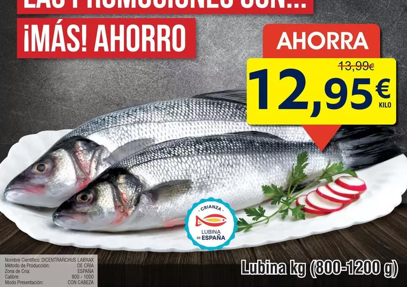 Lubina