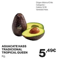 Tropical - Aguacate Hass Tradicional  Queen