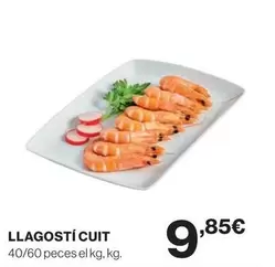 Llagostí Cuit