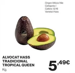 Tropical - Alvocat Hass Tradicional  Queen