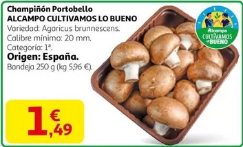 Alcampo - Champiñón Portobello