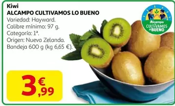 Alcampo - Kiwi