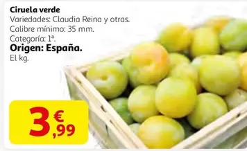 reina - Ciruela Verde