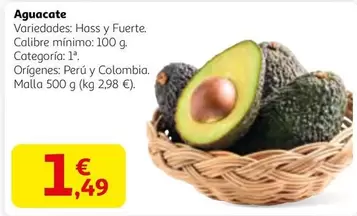 Aguacate